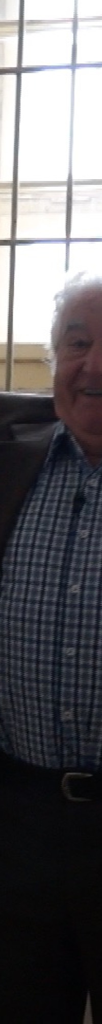 ANTON SRHOLEC (2015)