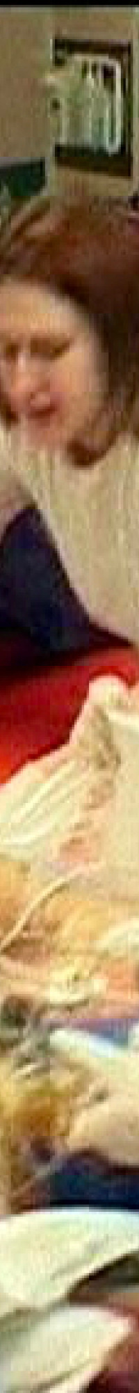 ANJELI NA MODRO (2001)